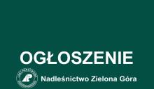 Ogłoszenie o rekrutacji na stanowisko ds. administracyjnych w Nadleśnictwie Zielona Góra